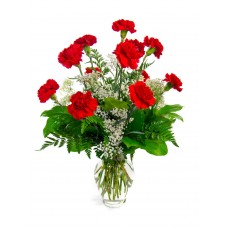 Dozen Carnations Arrangement